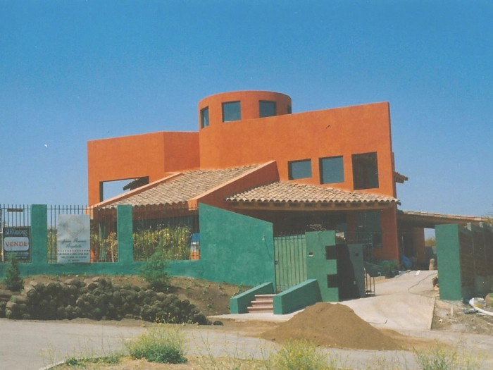 la loica amarilla