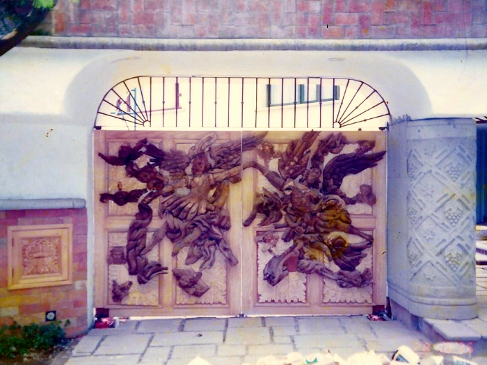 puerta entrada